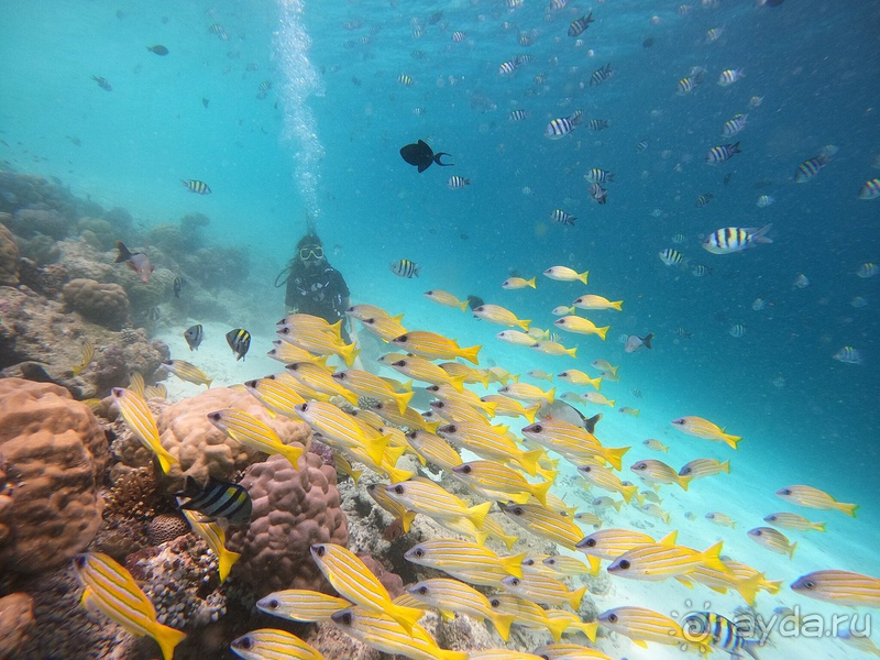 Отдых на Мальдивах