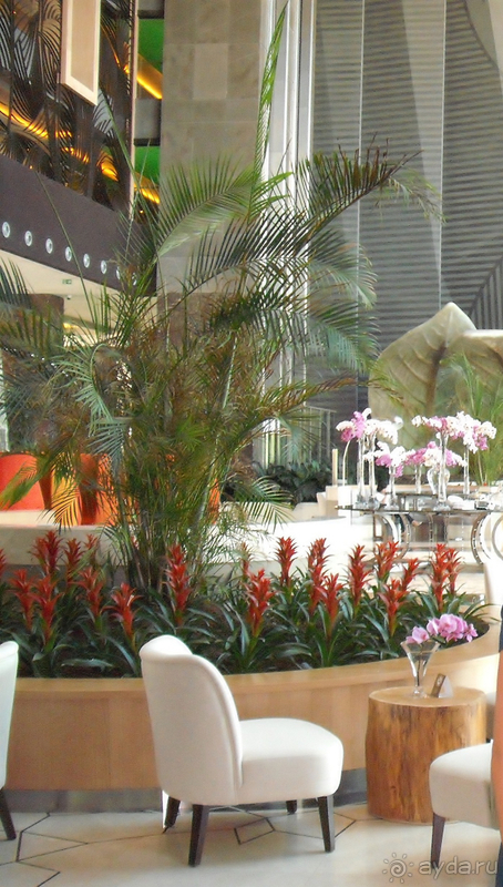 Отличный отель.Рекомендую.