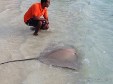 С Мальдив возвращаешься, будто "заново родился"! 