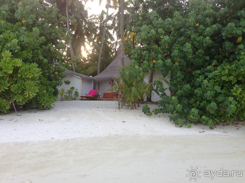 С Мальдив возвращаешься, будто "заново родился"! 