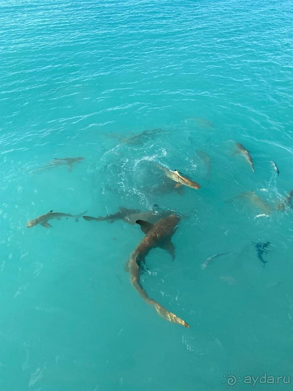 Отличное место, нужно повторить Отличное место, нужно повторить