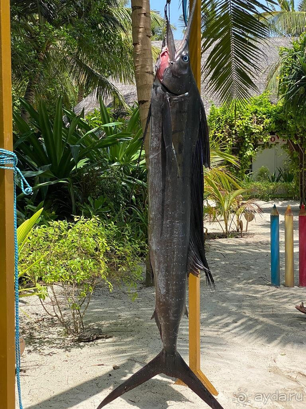 Отличное место, нужно повторить Отличное место, нужно повторить