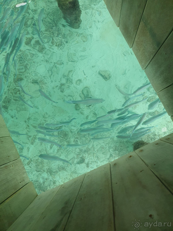 Отличное место, нужно повторить Отличное место, нужно повторить