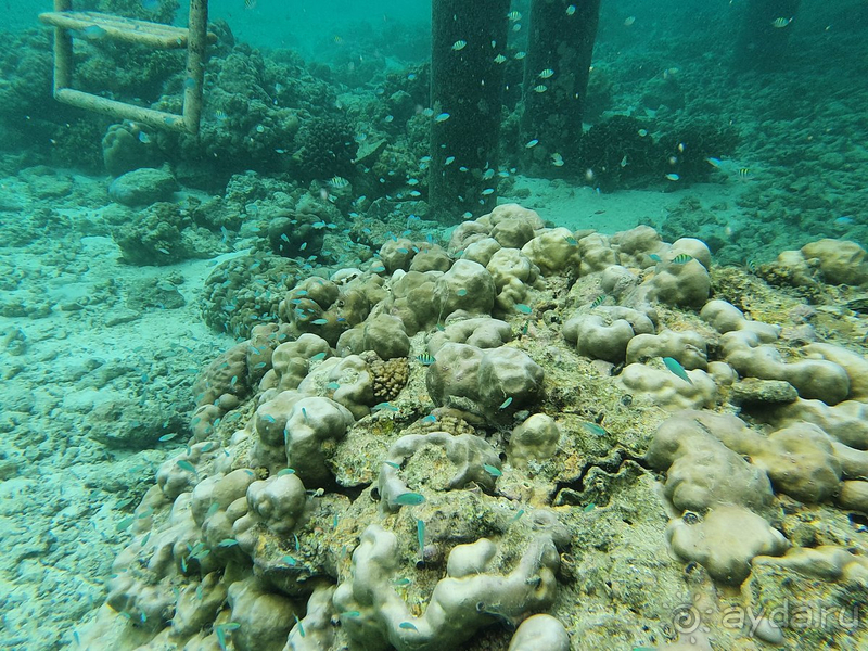 Отличное место, нужно повторить