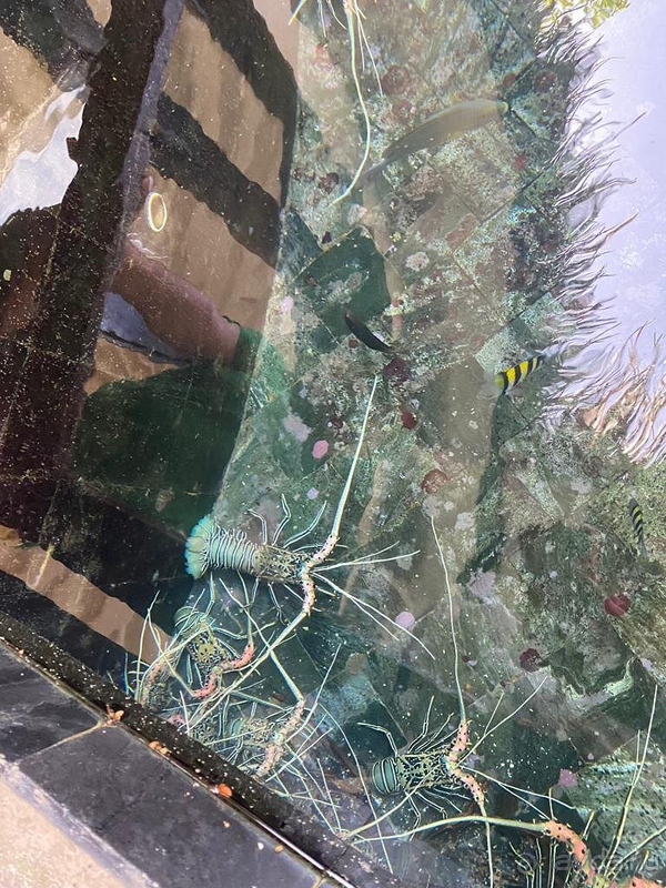 Отличное место, нужно повторить