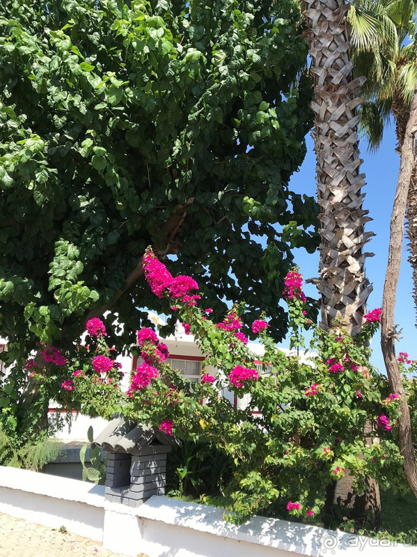 Рекомендую!