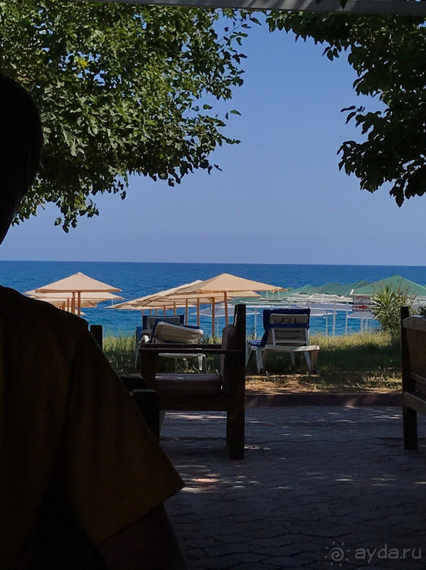 Рекомендую!