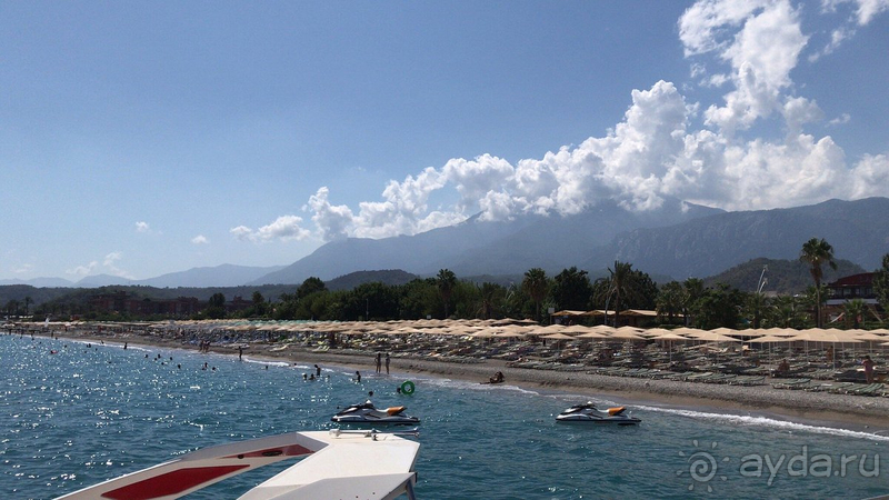 Рекомендую!