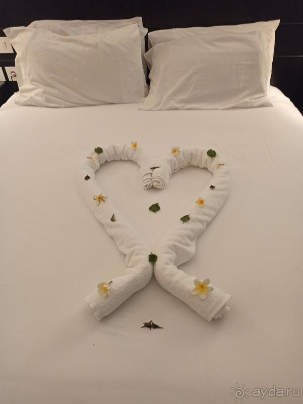 Хорошо отдохнули в Египте