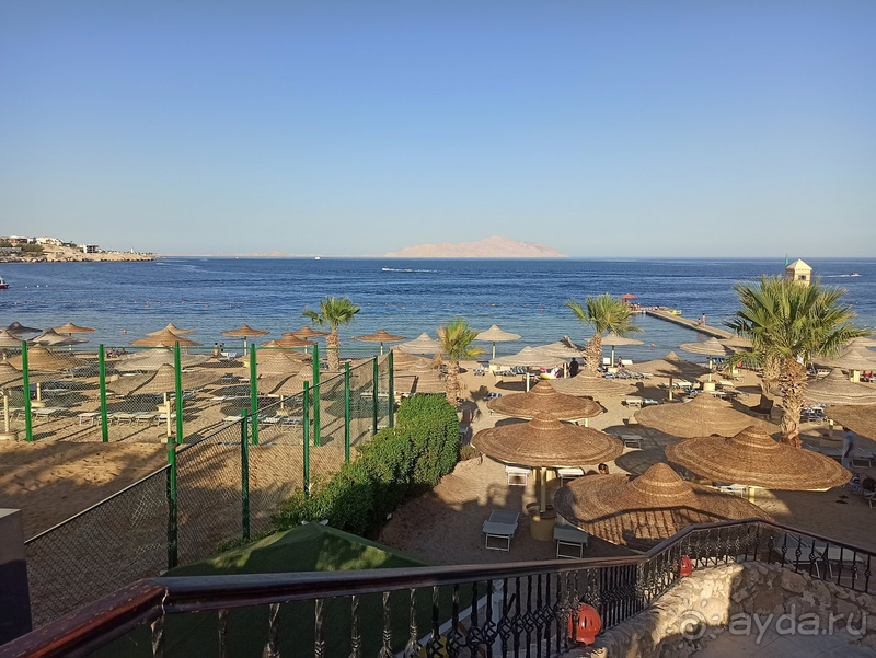 Хорошо отдохнули в Египте