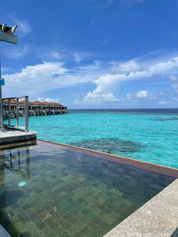 Отличный отель для семейного отдыха на Мальдивах!