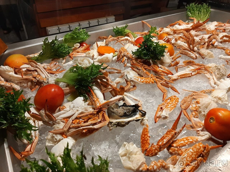 фото Sheraton Kosgoda Turtle Beach Resort