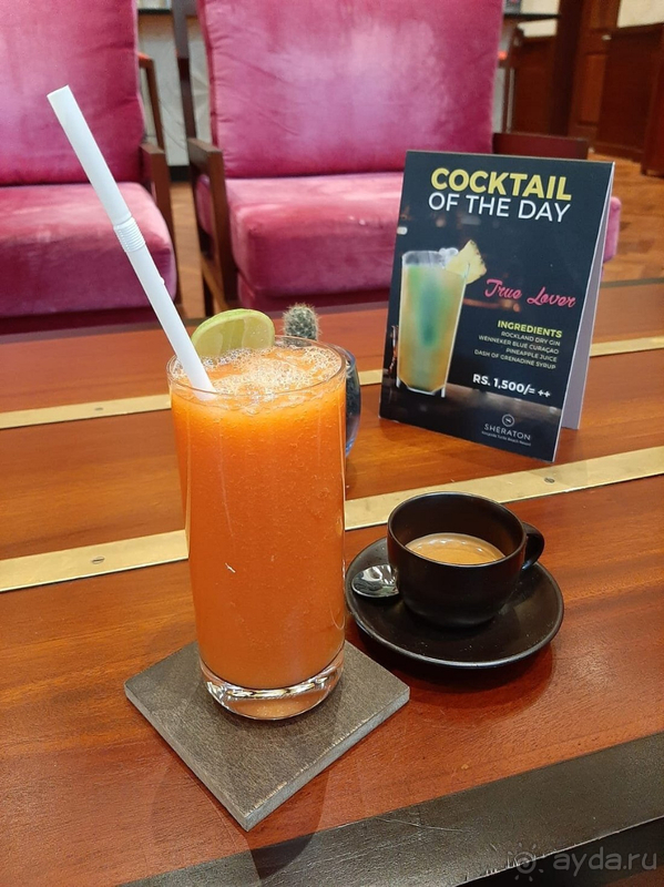 Достойный отель на Шри-Ланке