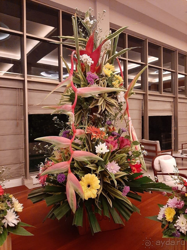 Достойный отель на Шри-Ланке