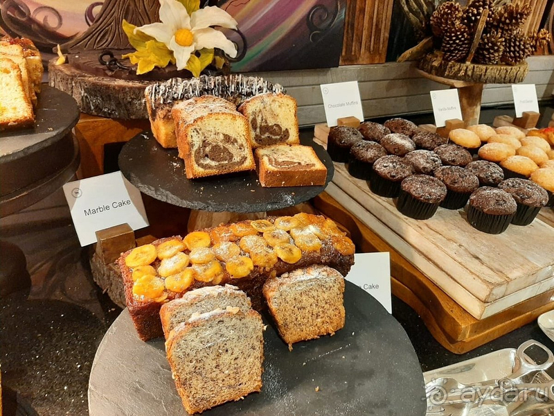 Достойный отель на Шри-Ланке