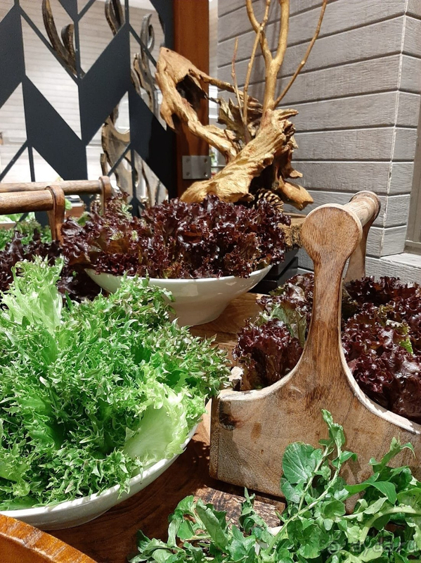 Достойный отель на Шри-Ланке