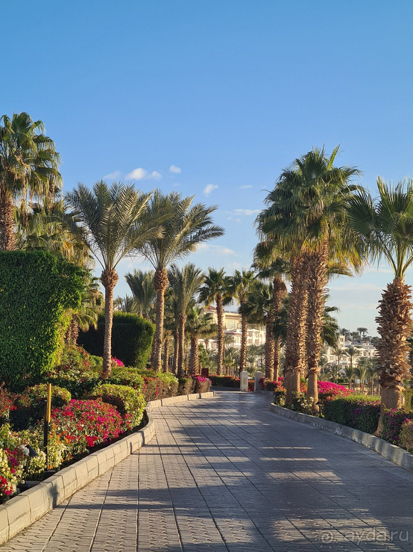 Отдых  в Египте очень понравился!