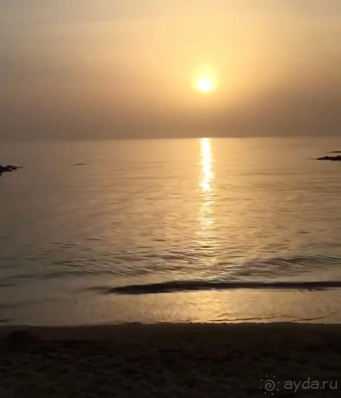 Отель на один раз