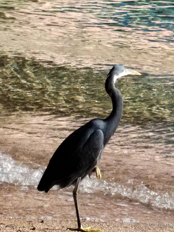 Милый, добротный, качественный отель для отличного отдыха!