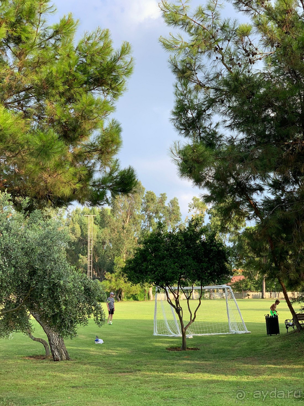 Уезжали с грустью