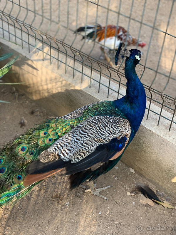 Уезжали с грустью