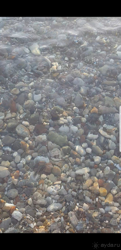 Отличный семейный отдых в Турции