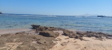 фото Tamra Beach Resort