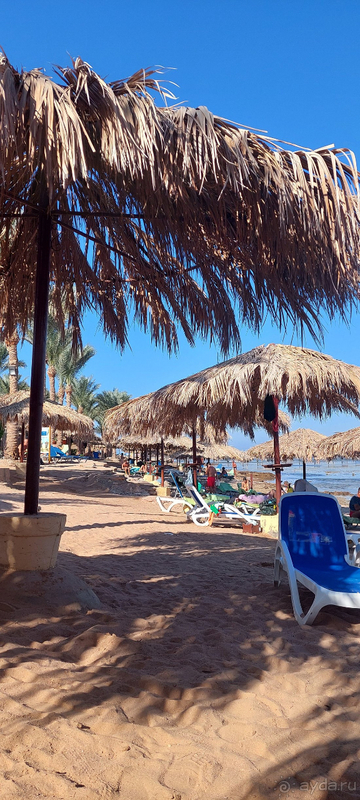 фото Tamra Beach Resort