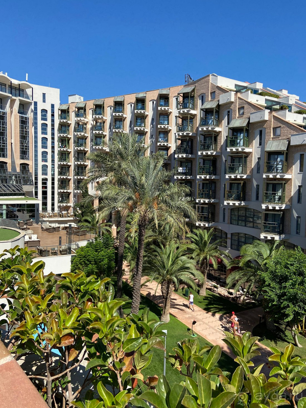 Разочарованы