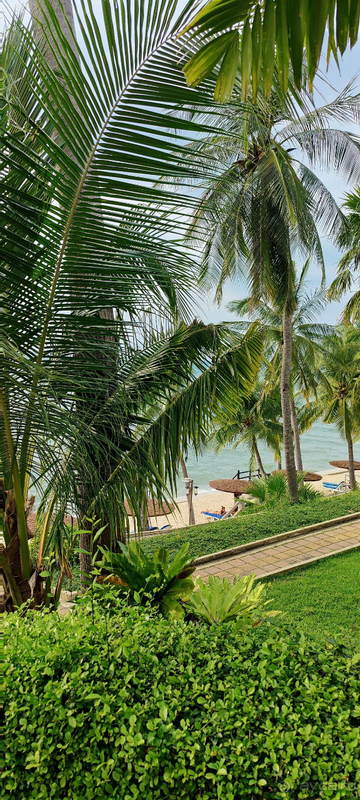 Отлично отдохнули в Паттайе