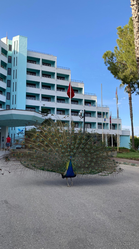 Мы обязательно вернёмся! 