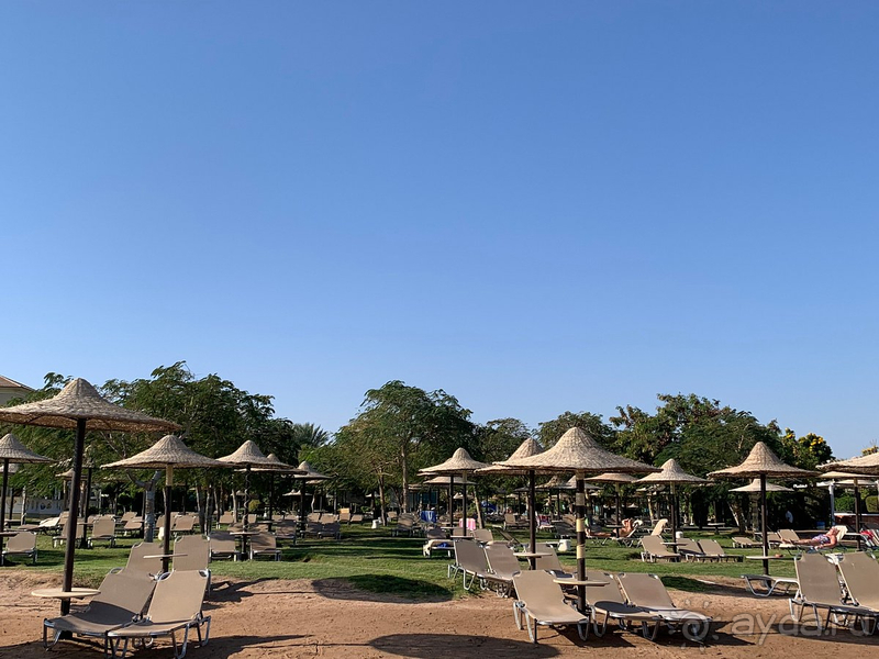 Прекрасный отель в Хургаде