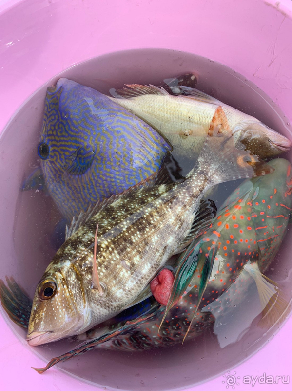 Прекрасный отель в Хургаде