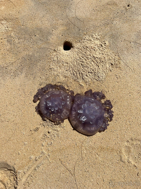 Релакс-отдых в Таиланде