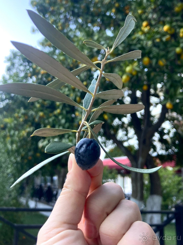 В целом очень довольны отелем