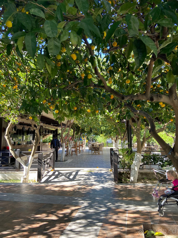 В целом очень довольны отелем