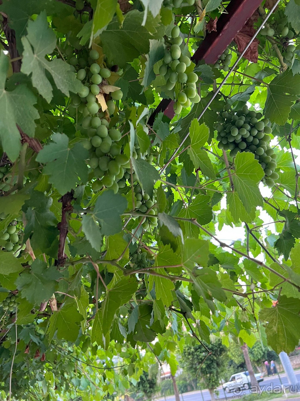 Хорошая бюджетная пятёрка