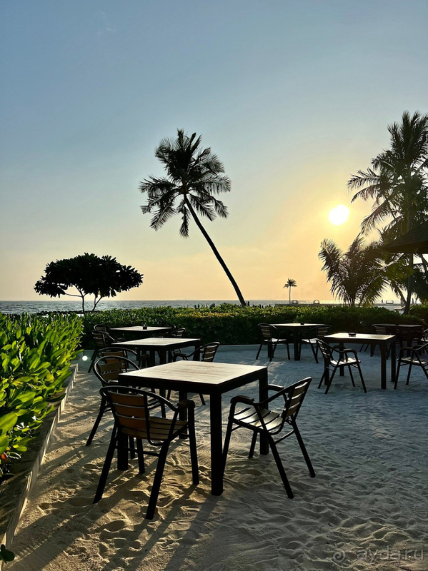 Нас вряд ли чем заманишь сюда повторно.