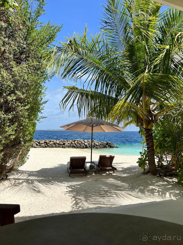 Нас вряд ли чем заманишь сюда повторно.