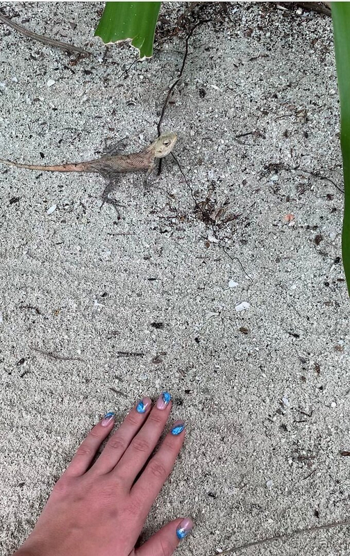 Однозначно рекомендую этот отель! 