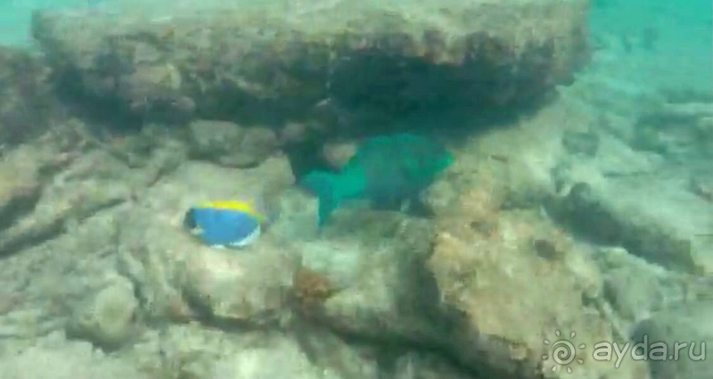 фото Reethi Beach Resort