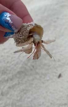 Однозначно рекомендую этот отель! 