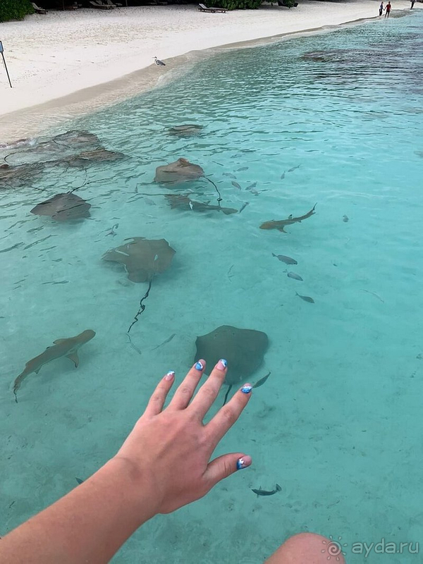 Однозначно рекомендую этот отель! 