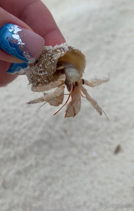 Однозначно рекомендую этот отель! 