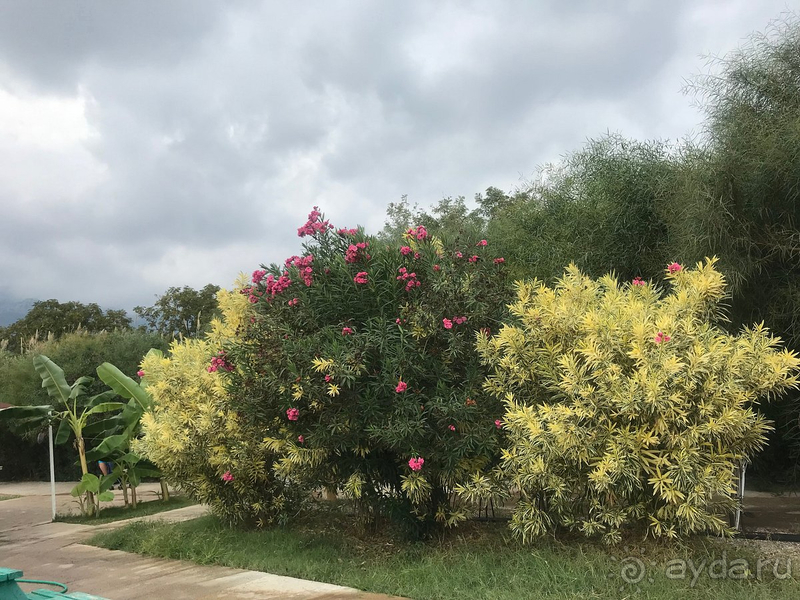 В целом впечатление от отеля хорошие