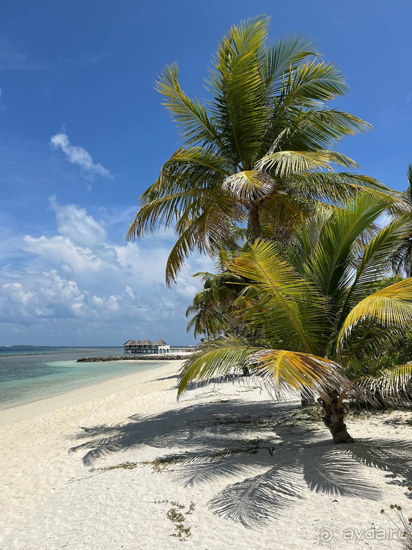 фото  Cora Cora Maldives