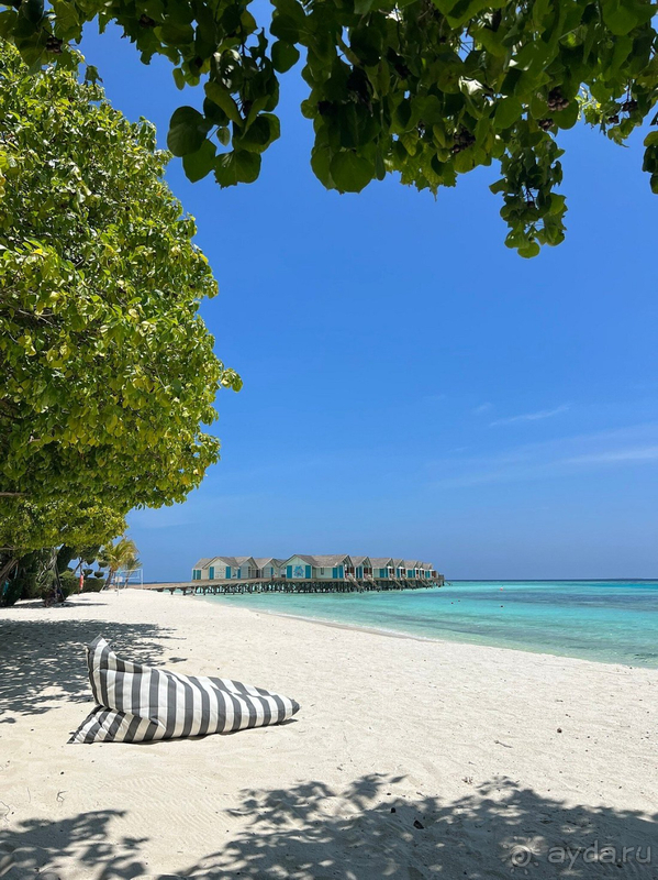 Я уже рассматриваю Cora Cora Maldives в качестве следующего путешествия и скорее всего вернусь снова!