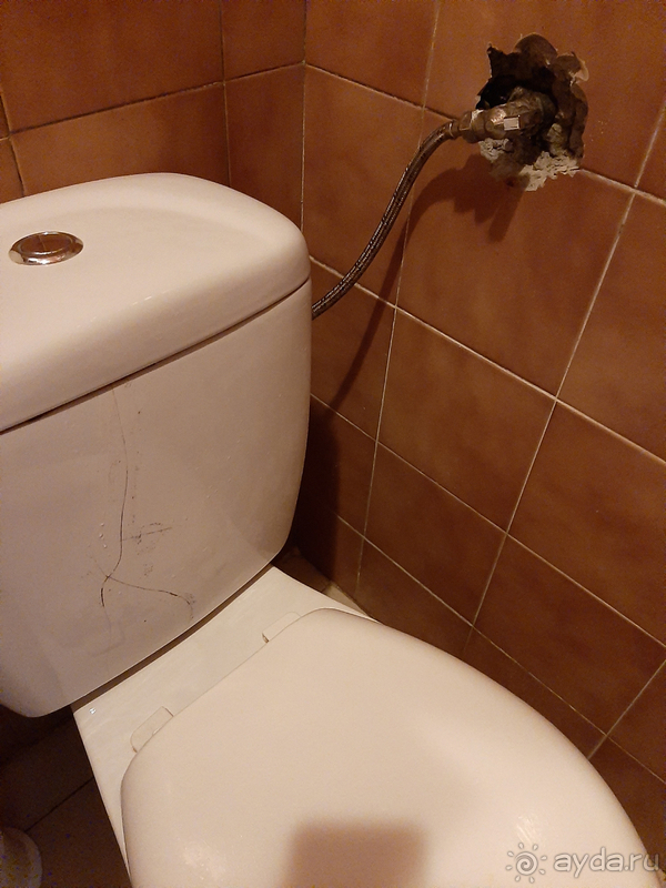 цена в разы не соответствует качеству