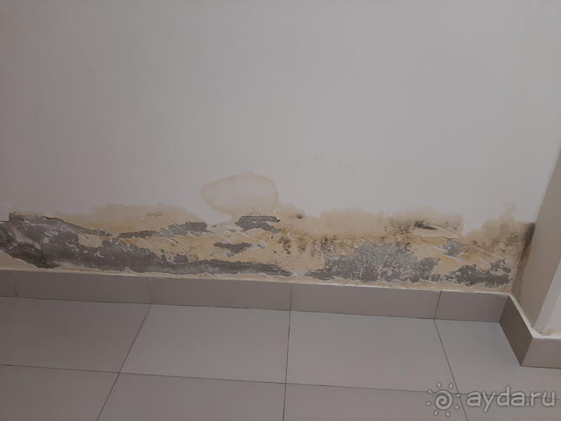 цена в разы не соответствует качеству