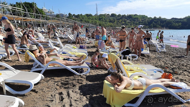 Отдохнули хорошо